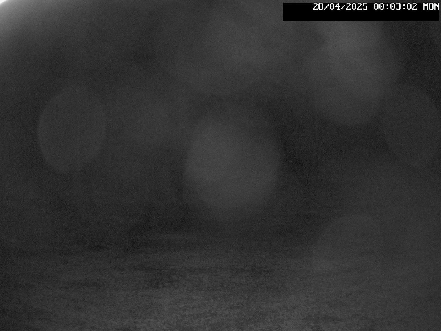 time-lapse frame, Stadium.Cam webcam