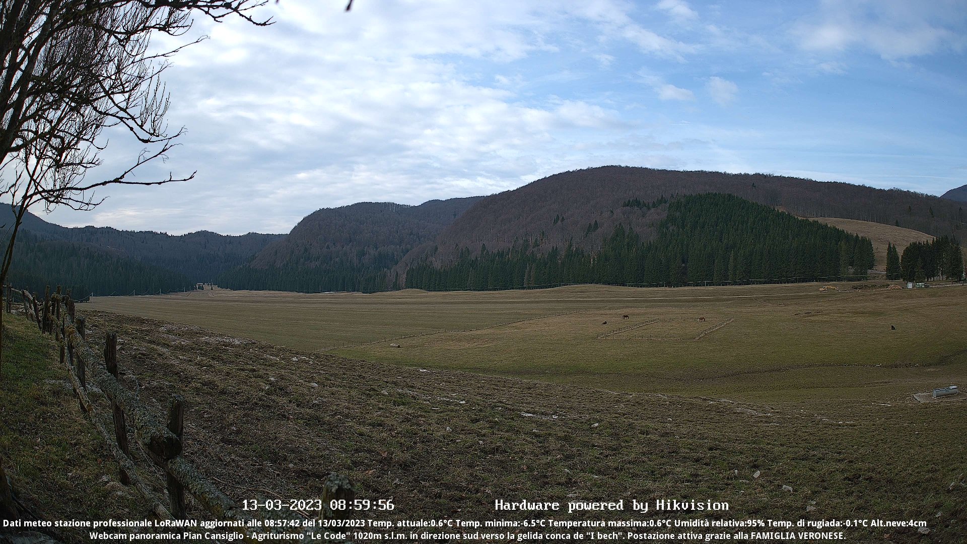 time-lapse frame, Webcam Cansiglio - verso la piana dei "Bech" webcam