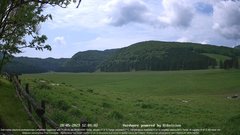 view from Webcam Cansiglio - verso la piana dei "Bech" on 2023-05-28