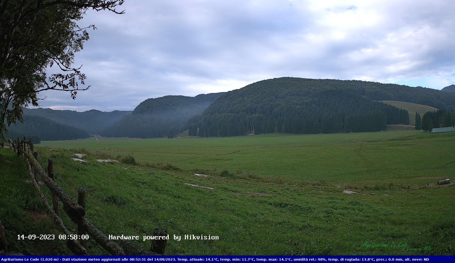 time-lapse frame, Webcam Cansiglio - verso la piana dei "Bech" webcam