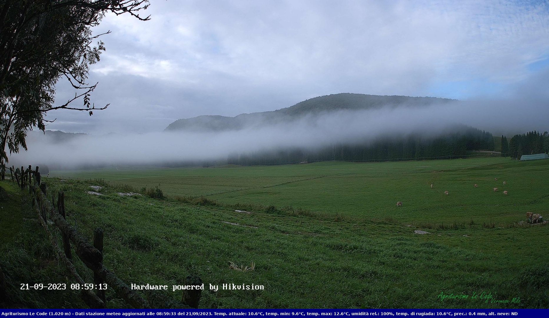 time-lapse frame, Webcam Cansiglio - verso la piana dei "Bech" webcam