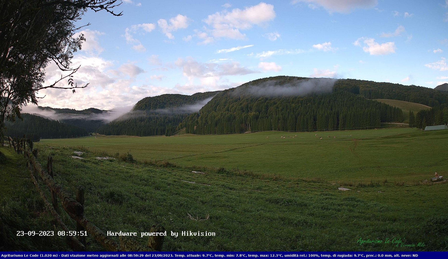 time-lapse frame, Webcam Cansiglio - verso la piana dei "Bech" webcam