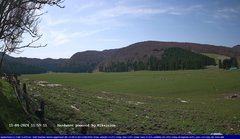 view from Webcam Cansiglio - verso la piana dei "Bech" on 2024-04-11