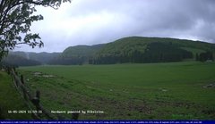 view from Webcam Cansiglio - verso la piana dei "Bech" on 2024-05-16