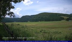 view from Webcam Cansiglio - verso la piana dei "Bech" on 2024-07-24