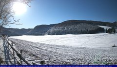 view from Webcam Cansiglio - verso la piana dei "Bech" on 2024-12-21