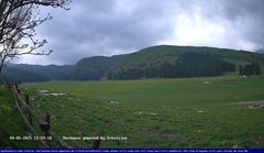 view from Webcam Cansiglio - verso la piana dei "Bech" on 2025-05-04