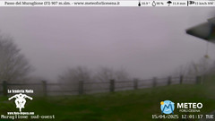 view from Passo del Muraglione on 2025-04-15