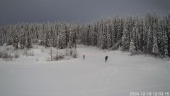 view from Nordic Centre Lodge on 2024-12-18