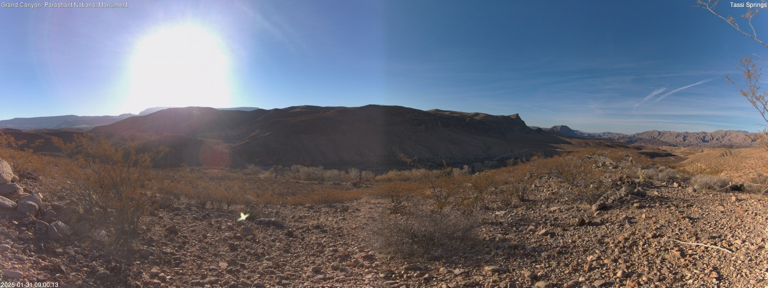 time-lapse frame, Tassi Springs webcam