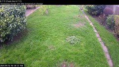 view from Wembury, Devon. Garden Cam on 2024-04-16