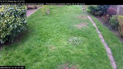 view from Wembury, Devon. Garden Cam on 2024-04-19