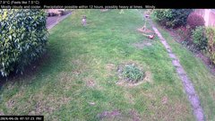 view from Wembury, Devon. Garden Cam on 2024-04-26