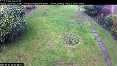 view from Wembury, Devon. Garden Cam on 2024-04-27