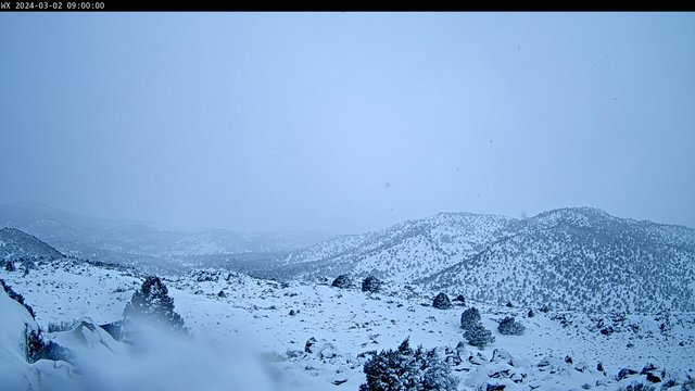 time-lapse frame, Highlands webcam