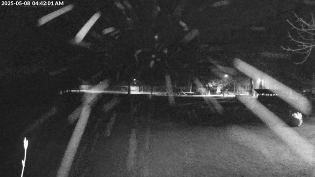 time-lapse frame, Arrowhead Park webcam