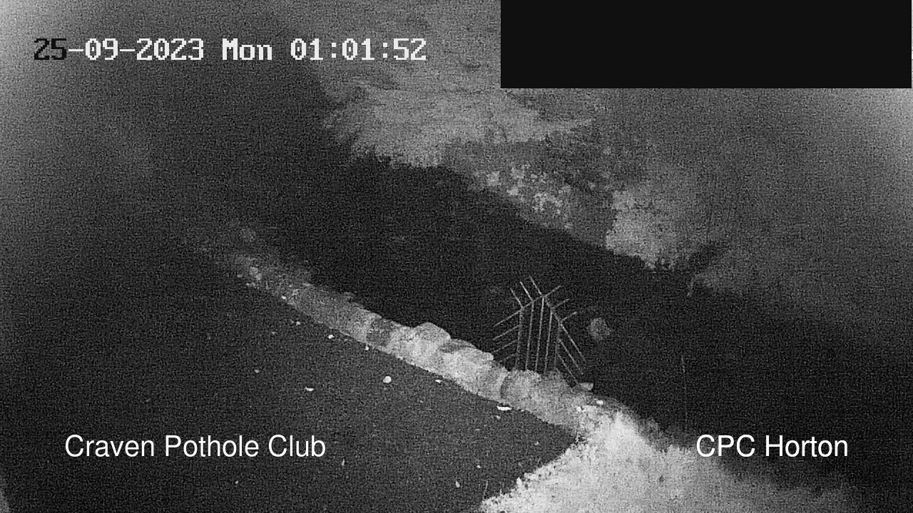 time-lapse frame, HortonBrantsGillCam webcam