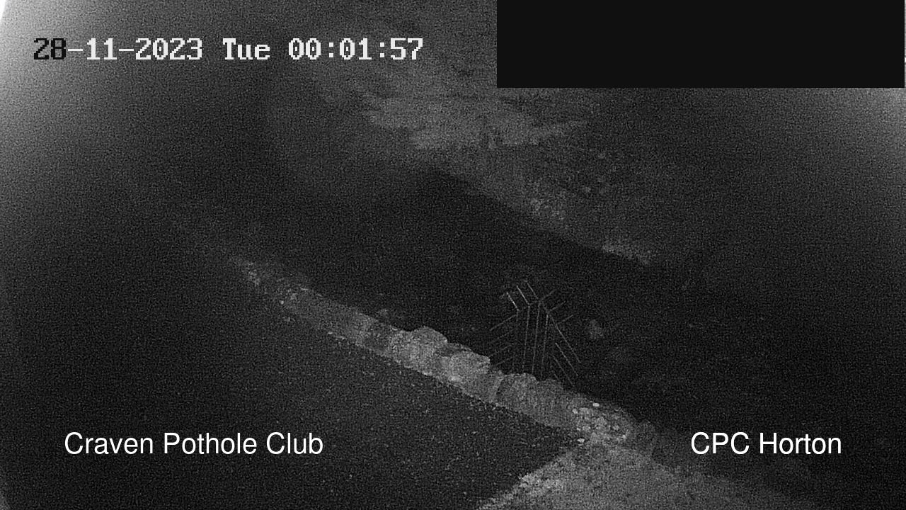 time-lapse frame, HortonBrantsGillCam webcam