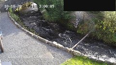 view from HortonBrantsGillCam on 2024-10-18