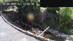 view from HortonBrantsGillCam on 2025-05-02