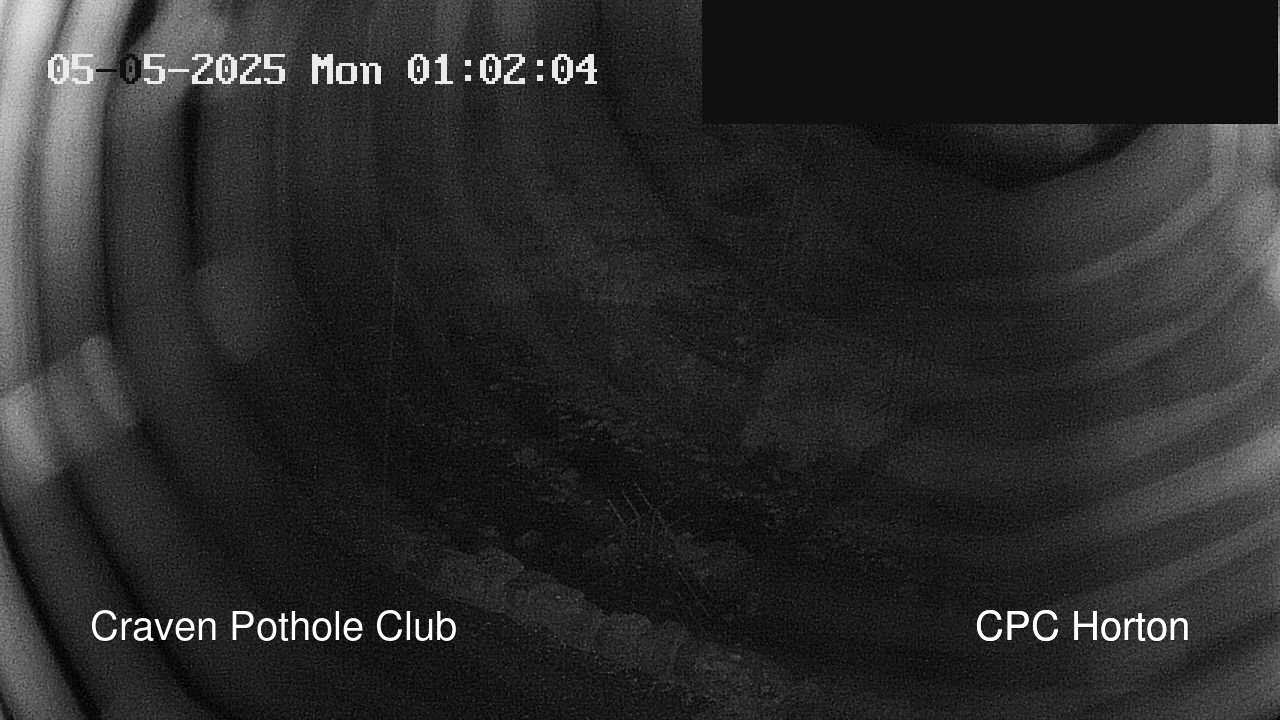time-lapse frame, HortonBrantsGillCam webcam