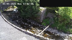view from HortonBrantsGillCam on 2025-05-05