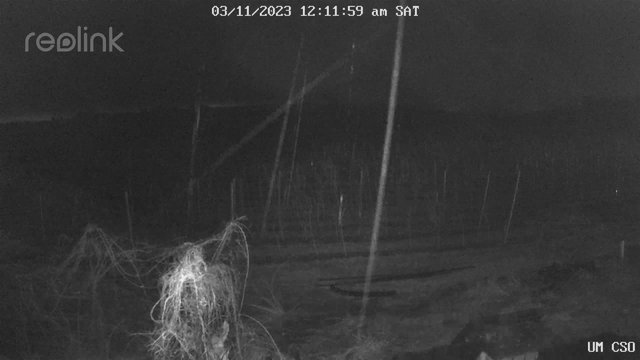 time-lapse frame, UM CSO webcam