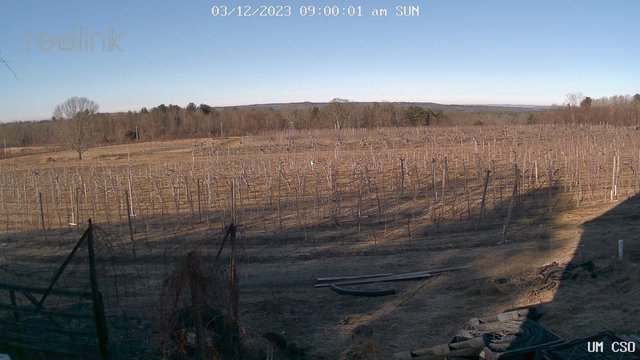 time-lapse frame, UM CSO webcam