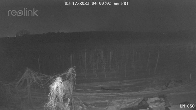 time-lapse frame, UM CSO webcam