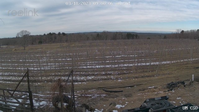time-lapse frame, UM CSO webcam