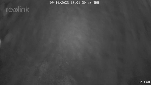 time-lapse frame, UM CSO webcam