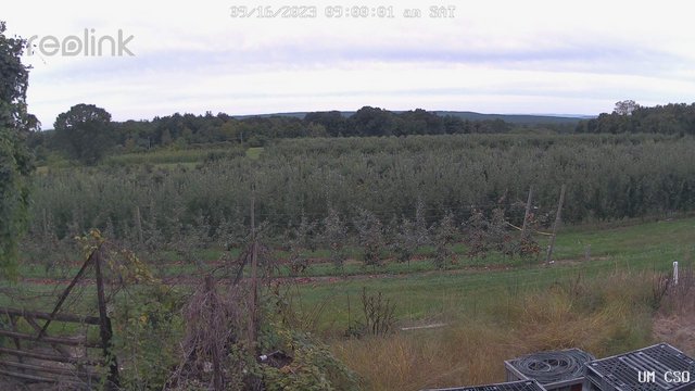 time-lapse frame, UM CSO webcam