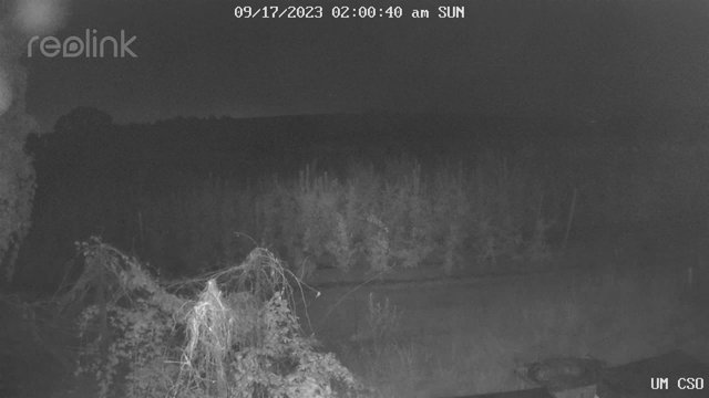 time-lapse frame, UM CSO webcam