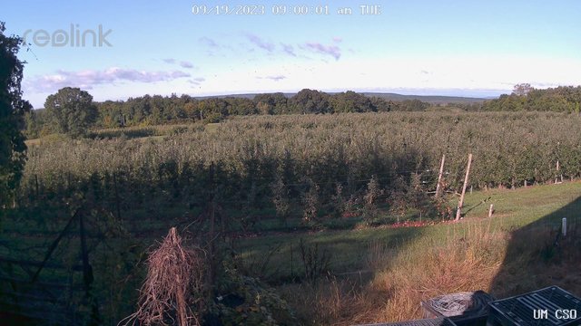 time-lapse frame, UM CSO webcam