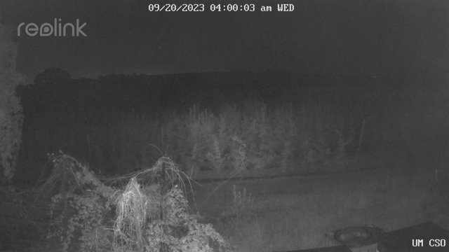 time-lapse frame, UM CSO webcam