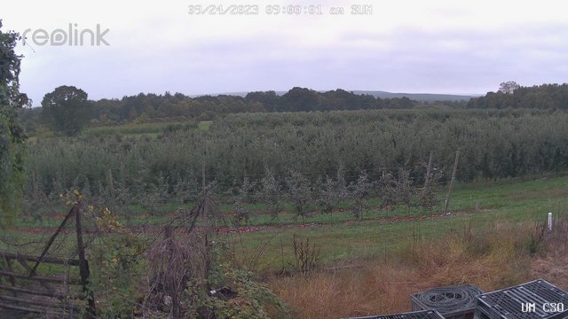 time-lapse frame, UM CSO webcam