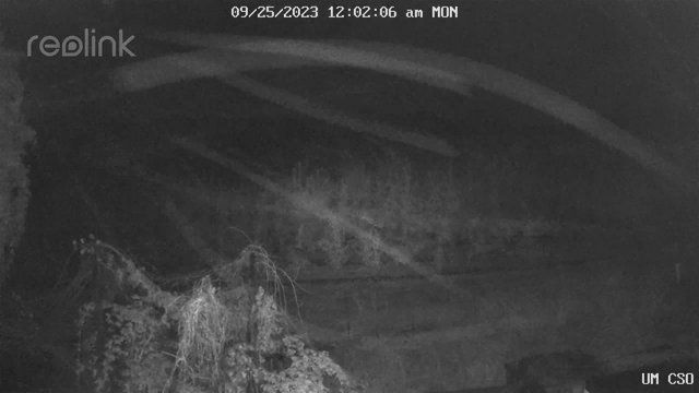 time-lapse frame, UM CSO webcam