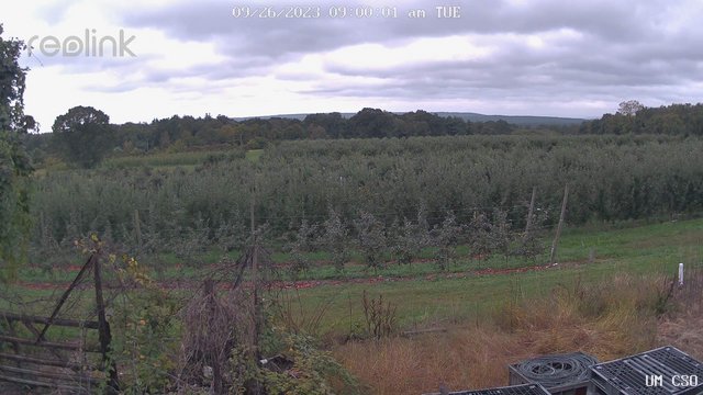 time-lapse frame, UM CSO webcam