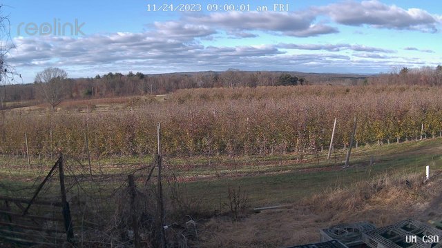 time-lapse frame, UM CSO webcam