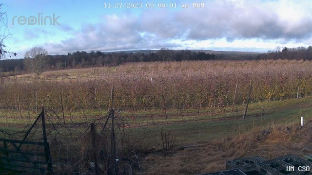 time-lapse frame, UM CSO webcam