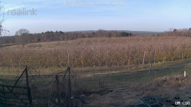 time-lapse frame, UM CSO webcam