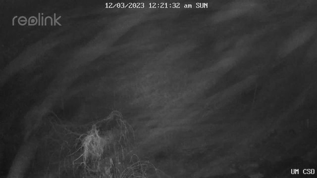 time-lapse frame, UM CSO webcam