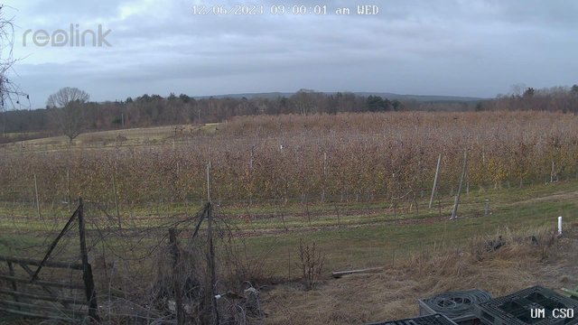 time-lapse frame, UM CSO webcam
