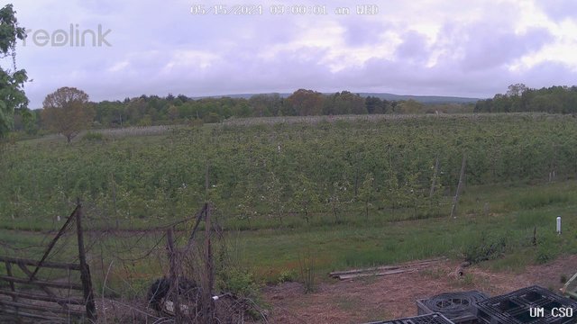 time-lapse frame, UM CSO webcam