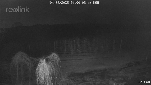 time-lapse frame, UM CSO webcam