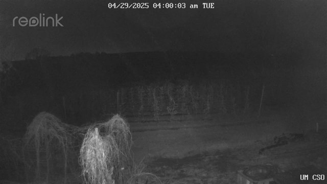 time-lapse frame, UM CSO webcam