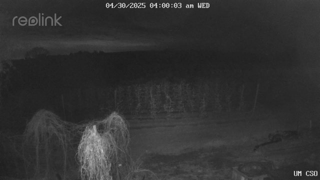 time-lapse frame, UM CSO webcam