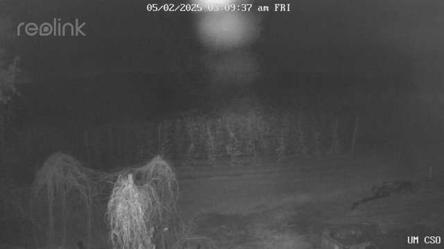 time-lapse frame, UM CSO webcam