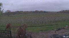 view from UM CSO on 2025-05-02