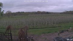 view from UM CSO on 2025-05-04